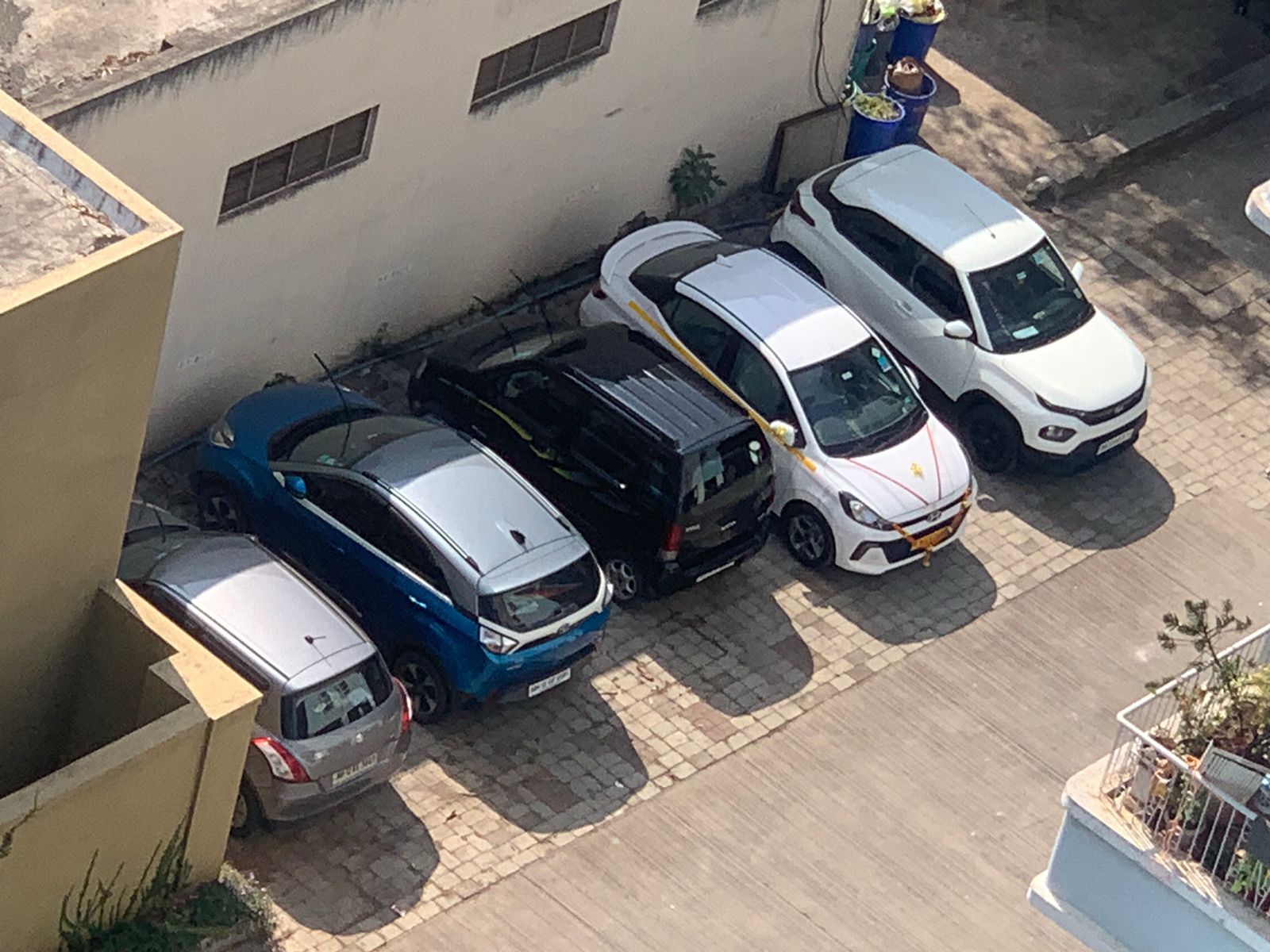 Celerio